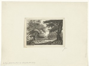 Landschap met karrenspoor en vee