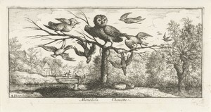 Landschap met kerkuil tussen andere vogels