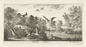 Landschap met kievitten