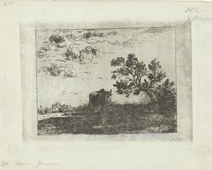 Landschap met koe