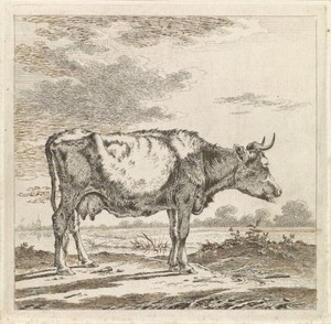 Landschap met koe aan waterkant