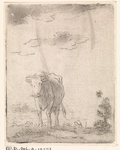 Landschap met koe