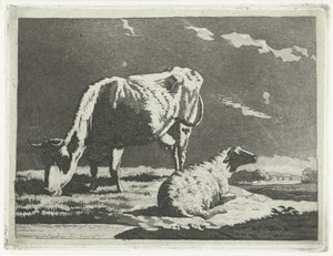 Landschap met koe en schaap