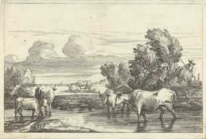 Landschap met koeien