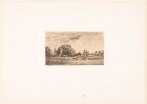 Landschap met koeien