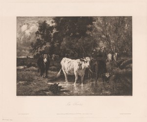 Landschap met koeien aan de rand van een bos