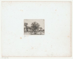 Landschap met koeien bij een drinkplaats