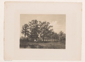 Landschap met koeien en kippen