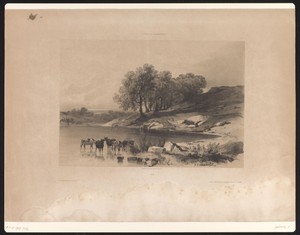 Landschap met koeien in een meer