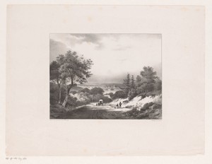 Landschap met koets
