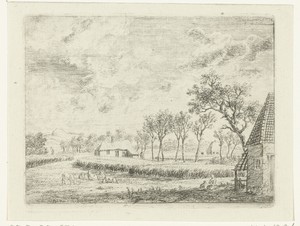 Landschap met korenfeld en weiland met schapen