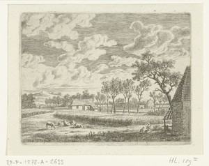 Landschap met korenveld en weiland met schapen