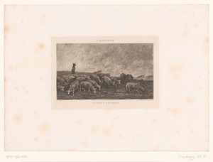 Landschap met kudde schapen bewaakt door herdershonden