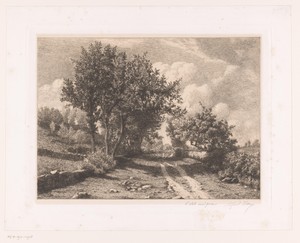 Landschap met landweg en lage stenen omheiningen