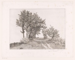 Landschap met landweg en lage stenen omheiningen