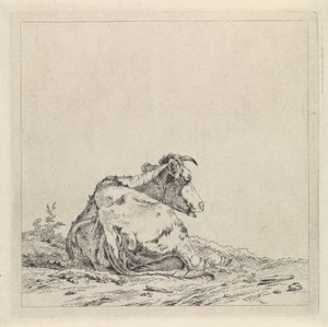 Landschap met liggende koe