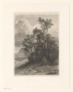 Landschap met loofbomen