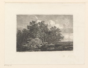 Landschap met loofbomen en een omgevallen eik