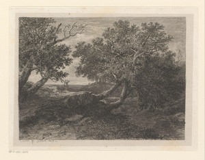 Landschap met loofbomen hangend over een beek