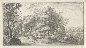 Landschap met man en hond