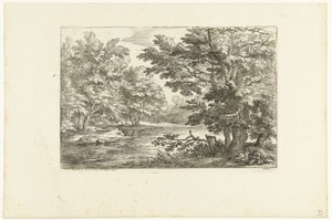 Landschap met meertje