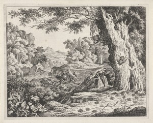 Landschap met mieren en bijen