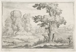Landschap met ossen