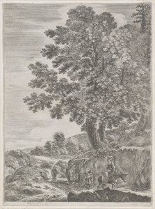 Landschap met pad