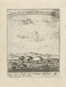 Landschap met paddenstoelen