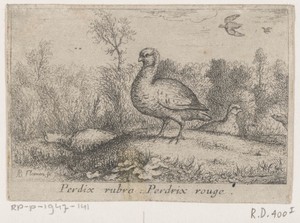 Landschap met patrijzen