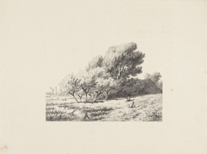 Landschap met plaggenhut