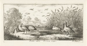Landschap met rode patrijzen