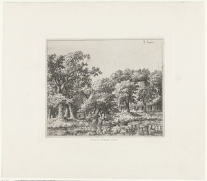 Landschap met roeiboot