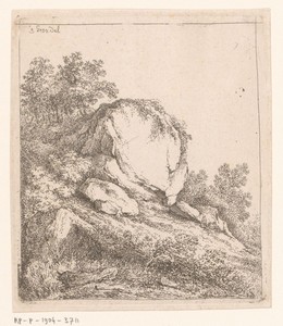 Landschap met rotsblok