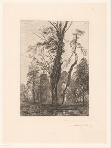 Landschap met ruïne