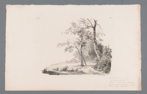 Landschap met schaap aan touw