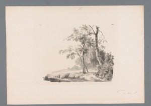Landschap met schaap aan touw