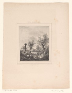 Landschap met schaapherders