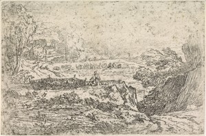 Landschap met schapen