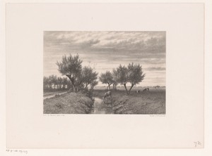 Landschap met sloot en koeien