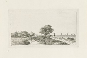 Landschap met sloten