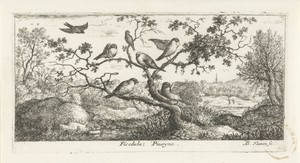 Landschap met snippen