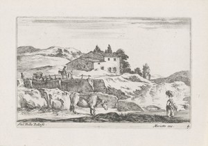 Landschap met stier
