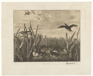 Landschap met talingen in het water tussen riet