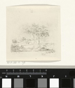 Landschap met twee bomen