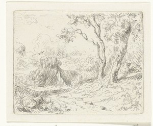 Landschap met twee bomen langs een pad