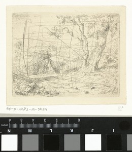 Landschap met twee bomen langs een pad