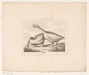 Landschap met twee ganzen