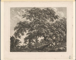 Landschap met twee koeien bij een grote eik
