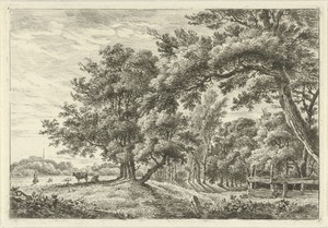Landschap met twee koeien in de schaduw